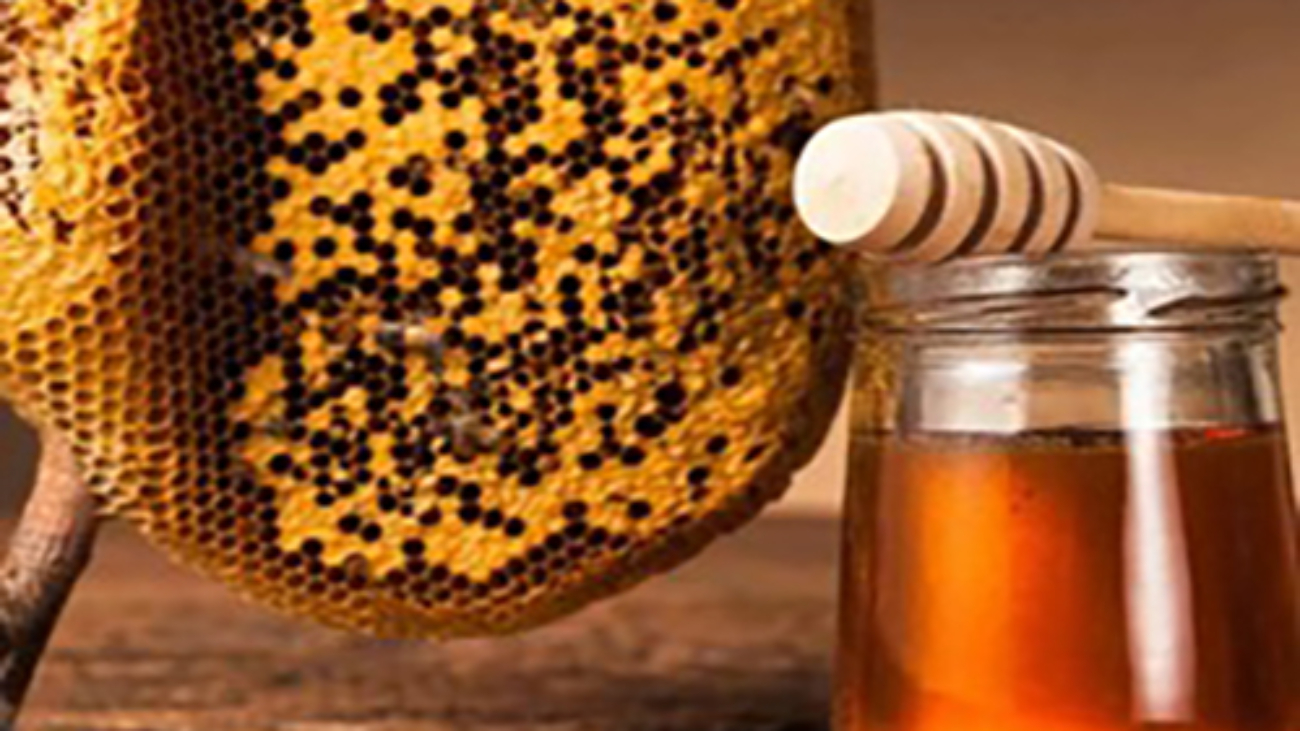Honey among Arabs-13.2x11.3-13.2x11.3