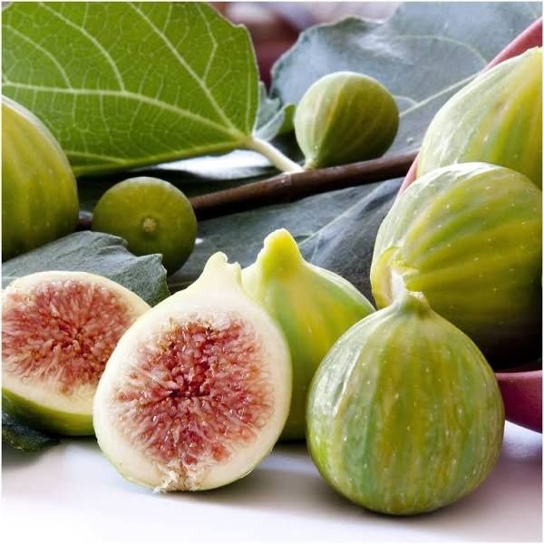 fig product